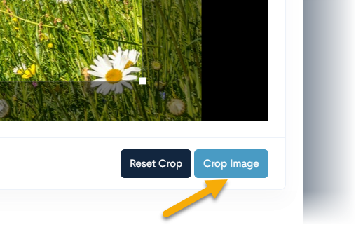 image4.png